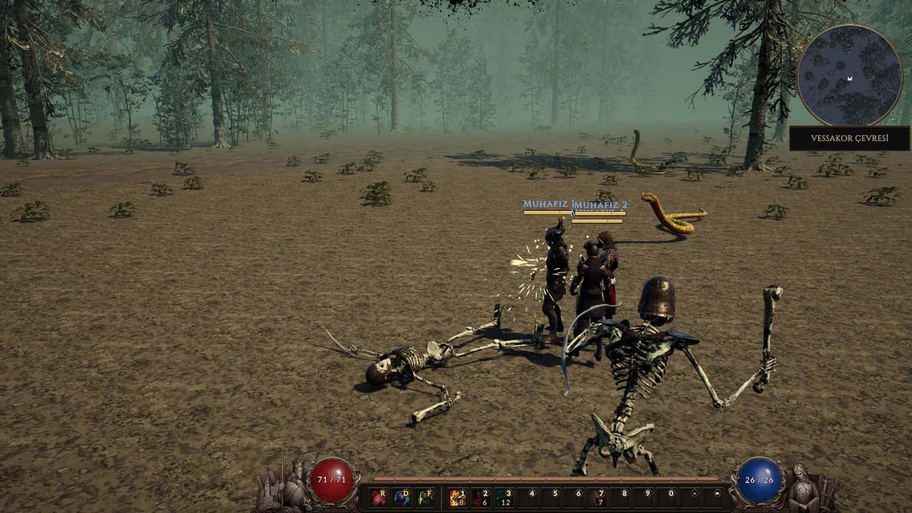 The guard holds the line against skeletons outside the walls
